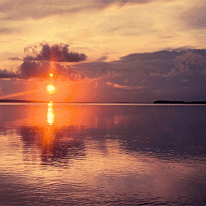 Sunset Pink