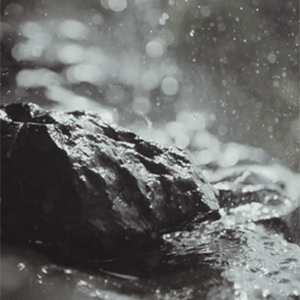 Stone