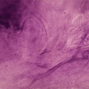 Backspin Pink