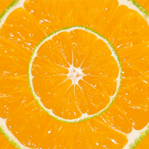 Tart Orange