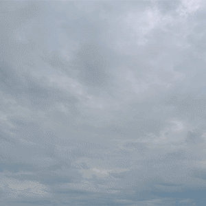 Mist