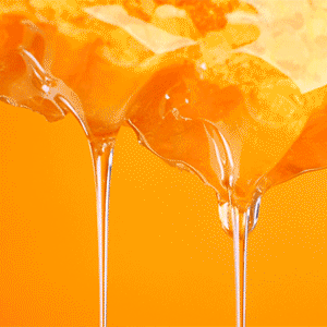 Honeycomb