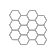 Silicon Icon
