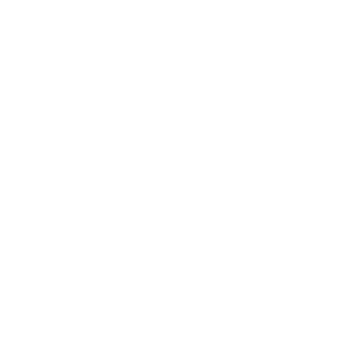 Fortune Magazine Logo