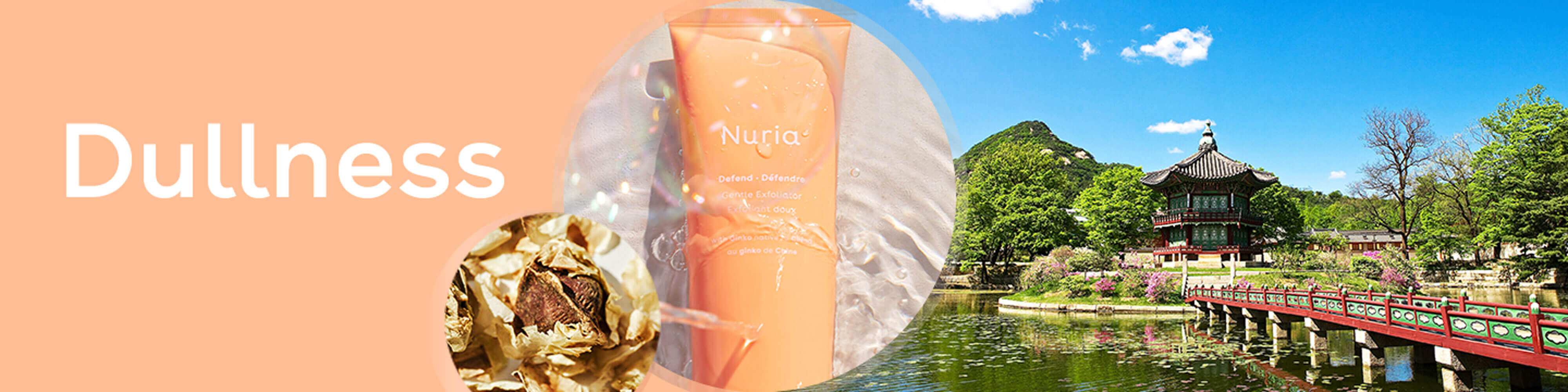 Dullness - Nuria's products for your skin concerns