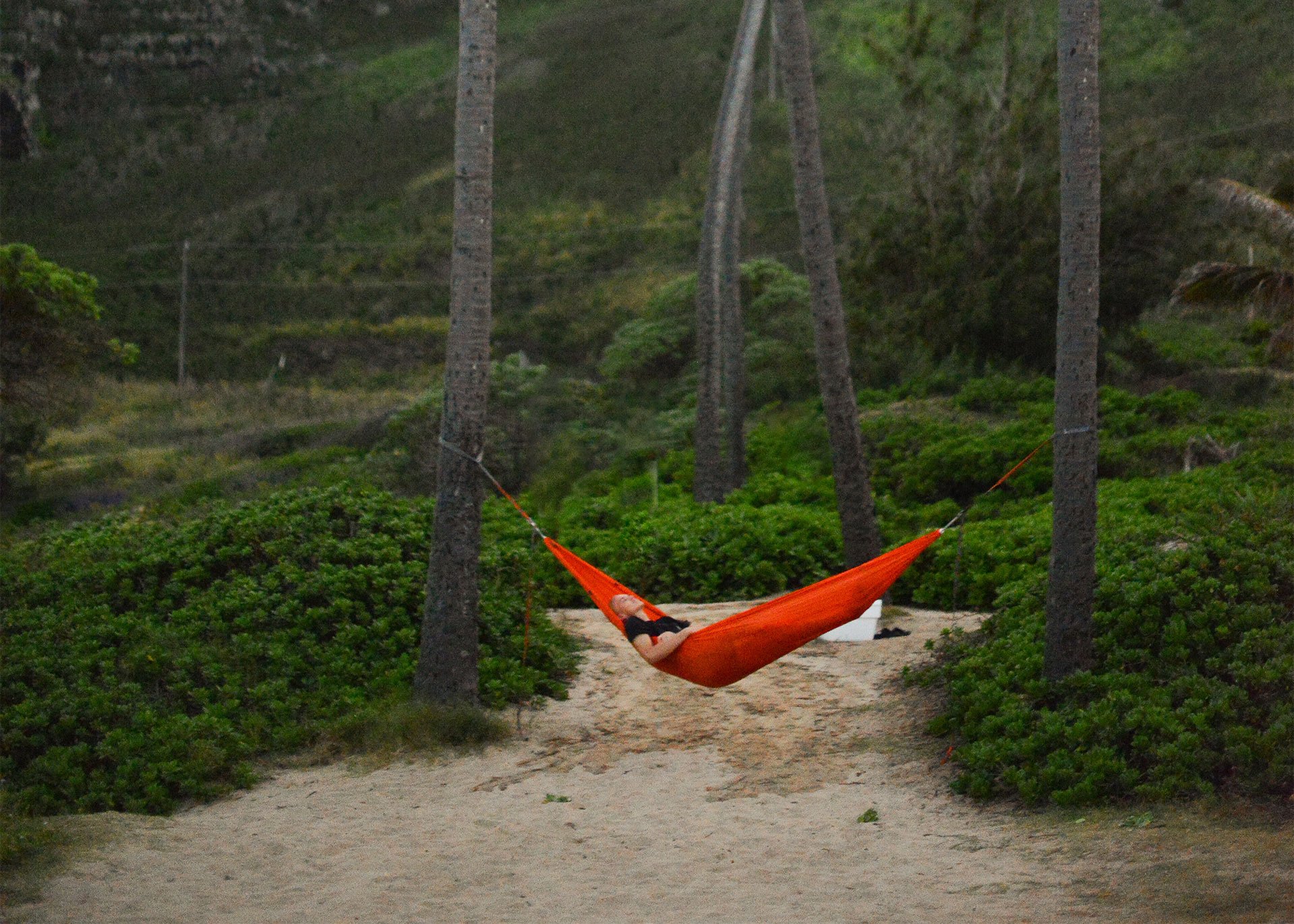 Man laying in Kammok Roo Double two person hammock attached to two palm trees on a beach.