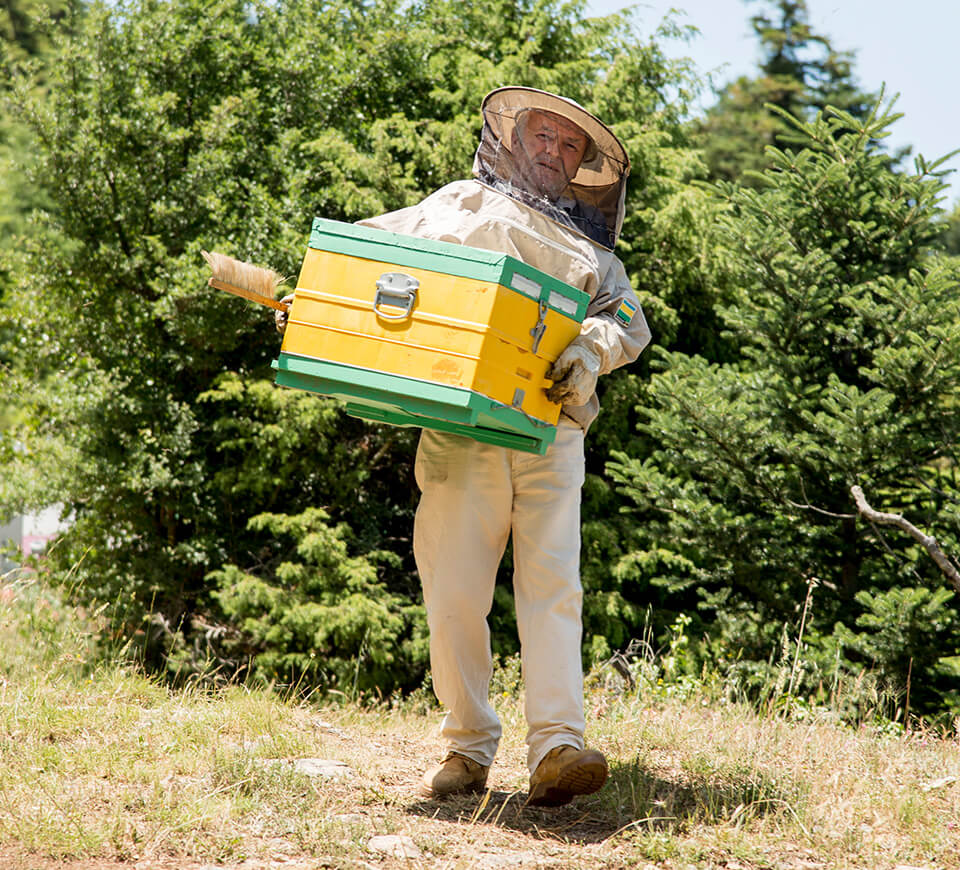 Artisan Holding Hive Box in Greece