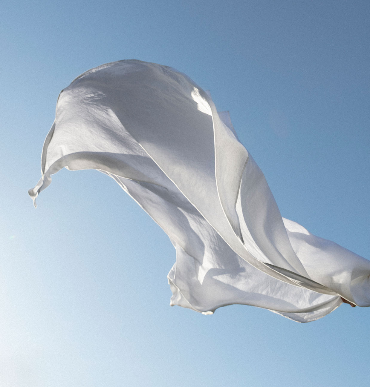 A white sheet blowing in the wind against the backdrop of a clear blue sky.