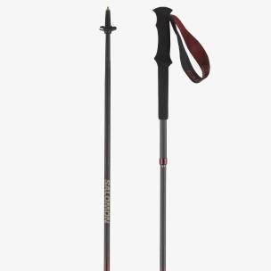 Ski Poles