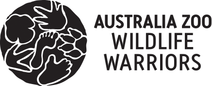 Protect Endangered Animals – Conscious Step Australia