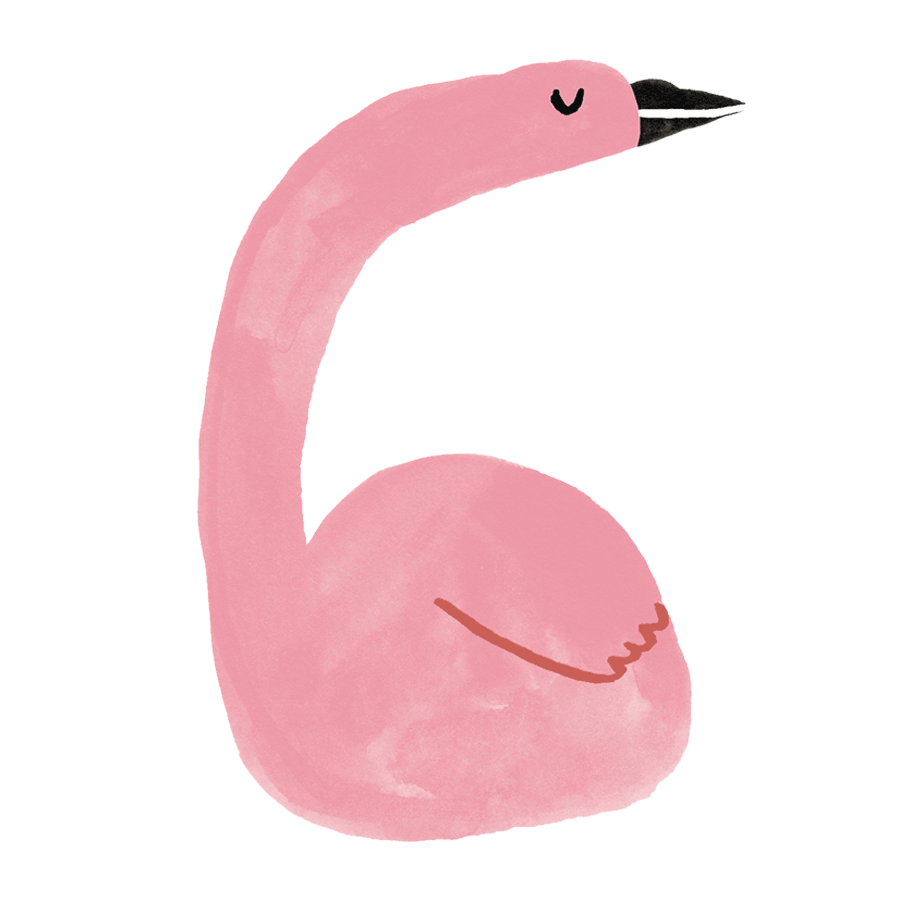 Animals Counting