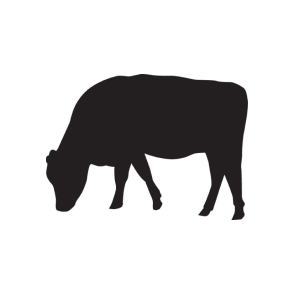 Silver Fern Farms Beef Range Menu Icon