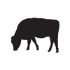 Silver Fern Farms Beef Range Menu Icon. Experience the best New Zealand red meat with our 100% Grass-Fed Beef delivered to your door. 