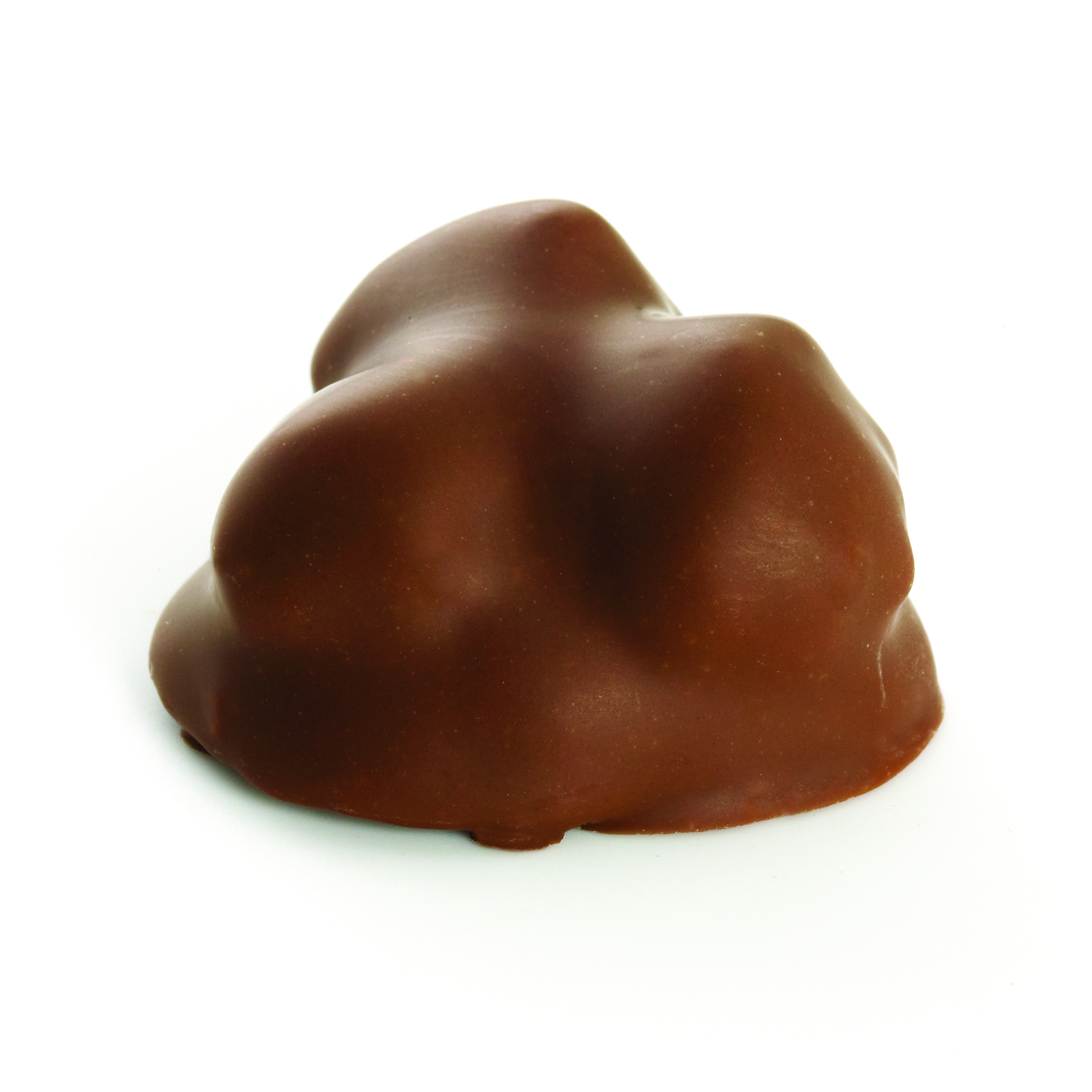 Chocolatier's Selection Praline Gift Box | 49 Piece