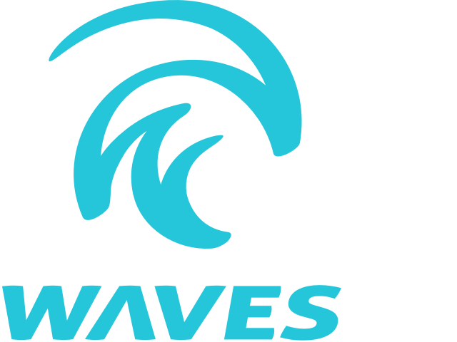 waves gear sunglasses
