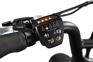 RadRunner Electric Utility Bikekey feature 3