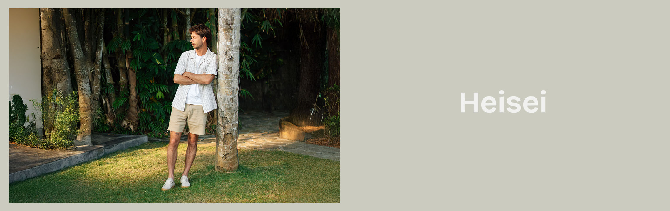 Collection Banner