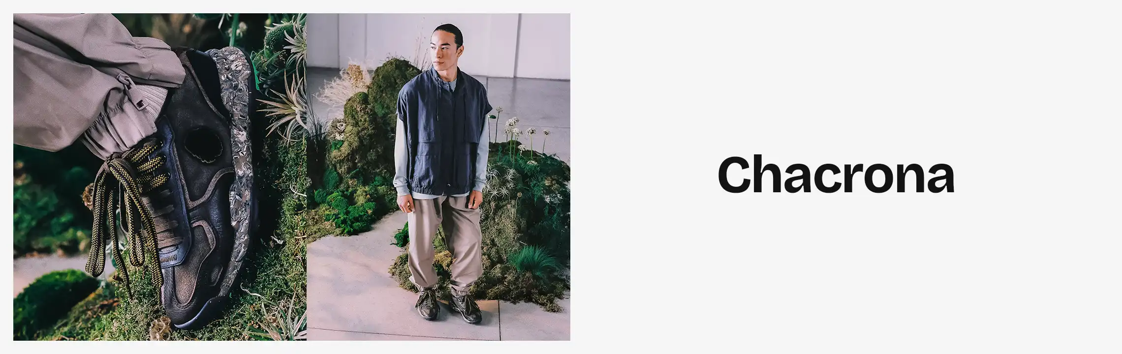 Collection Banner