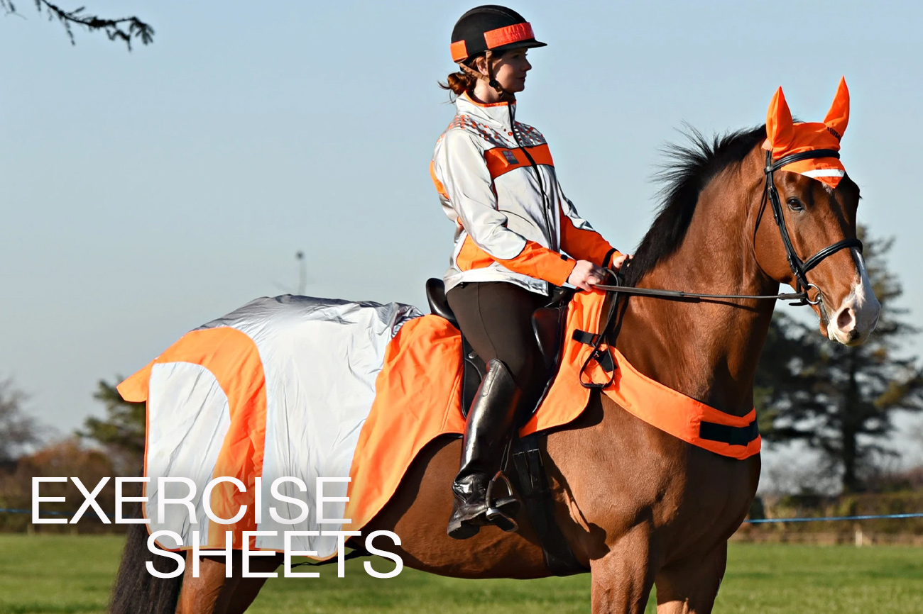 Horse Hi Viz Wear EQUUS