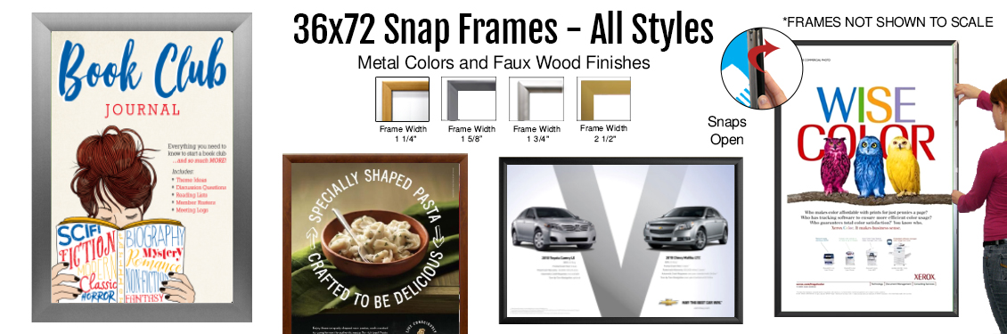 36x72-Snap-Frames---All-Styles