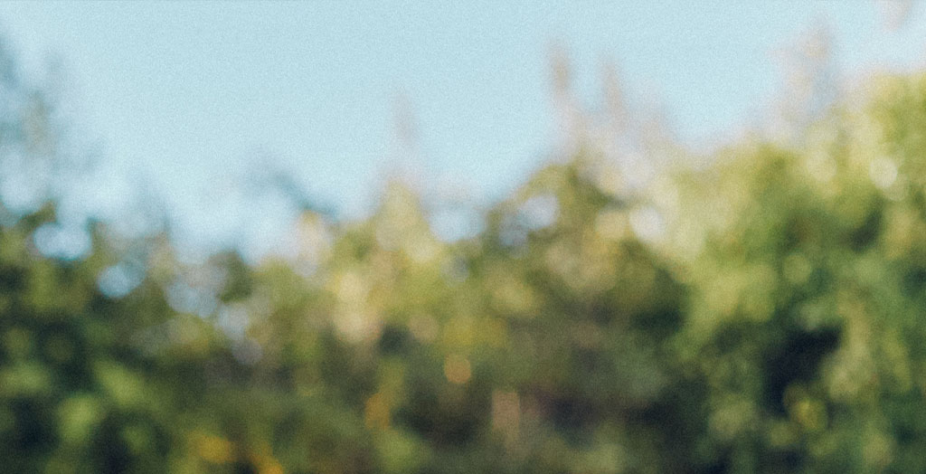 50% OFF SPRING CLEANING SALE - Header Image