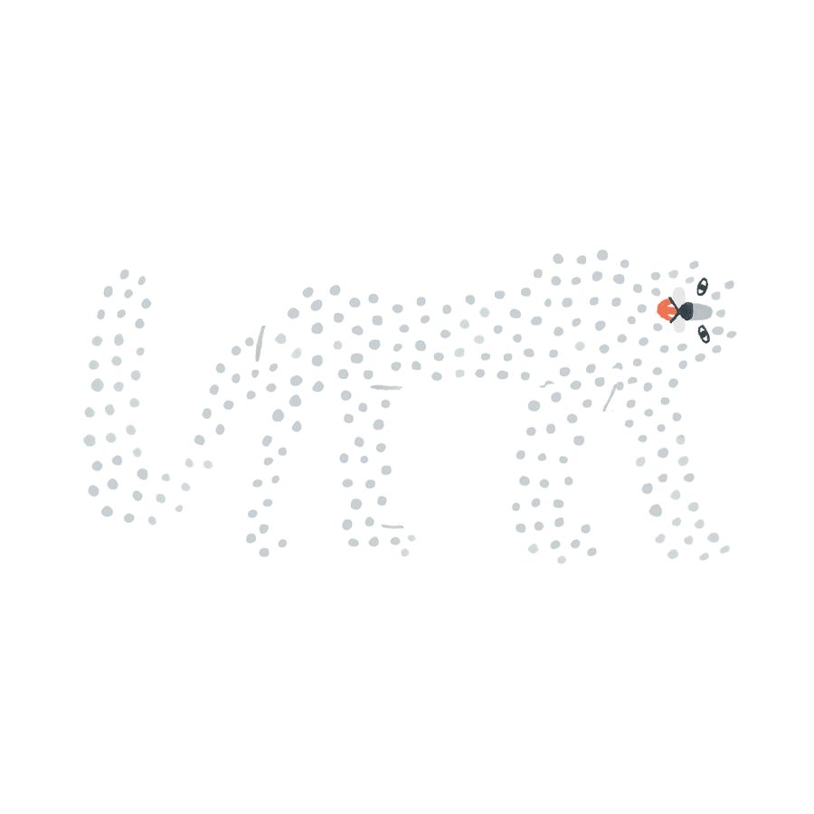 Leap of Leopards