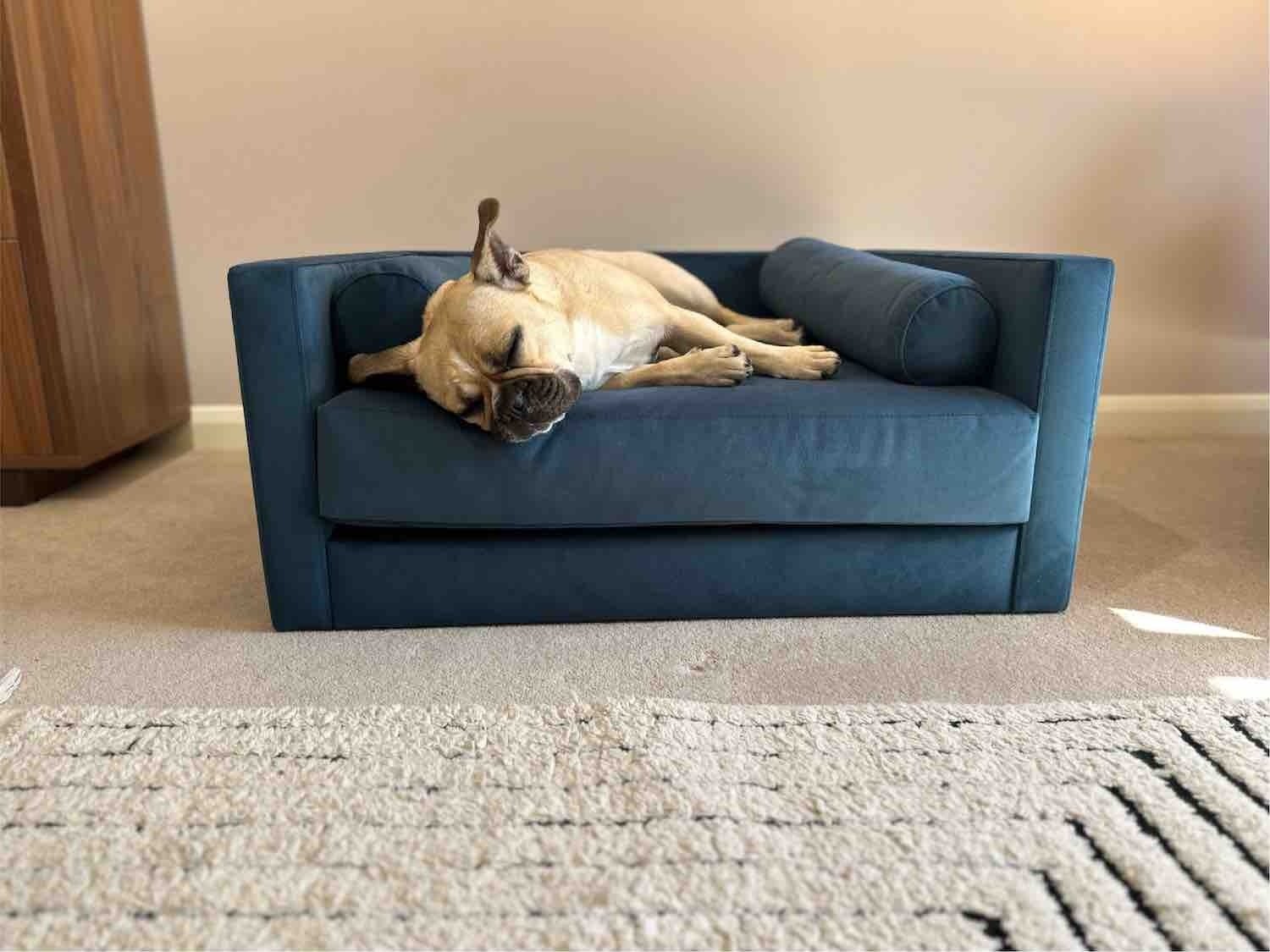 Dog sofa