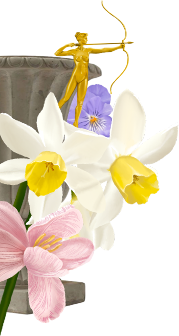 Garden Party Collection