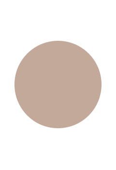 Brown color swatch