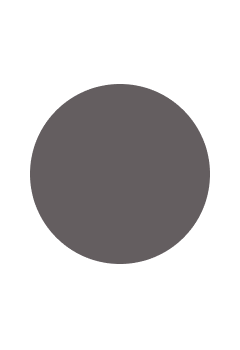 Grey color swatch