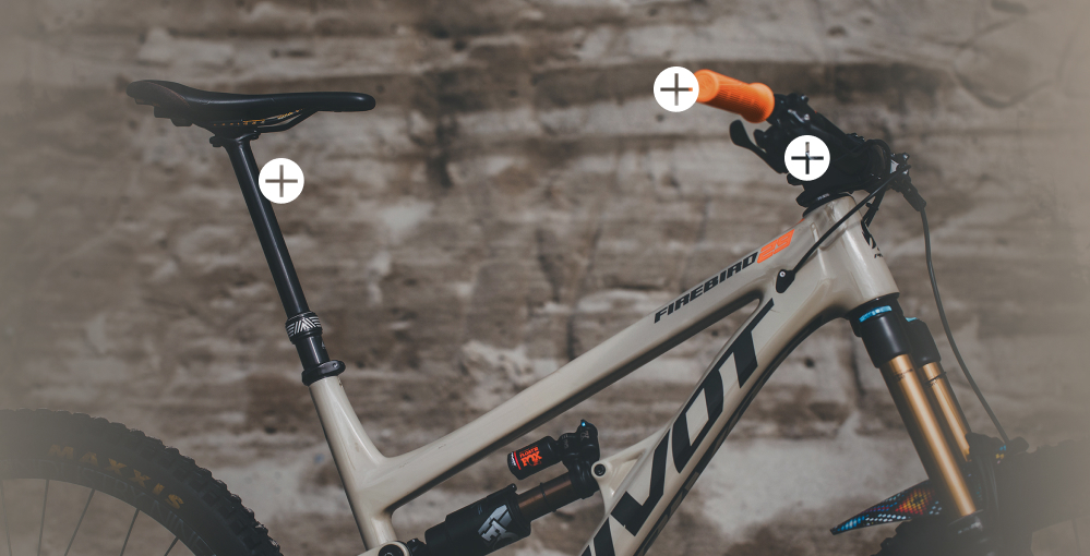 BIKE OF THE MONTH
