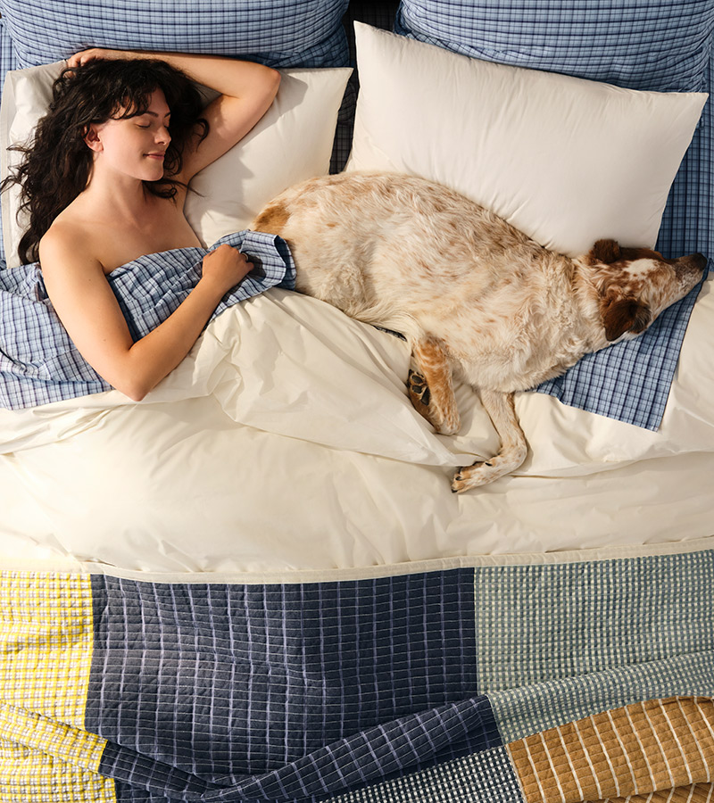 Visual Category Module Image