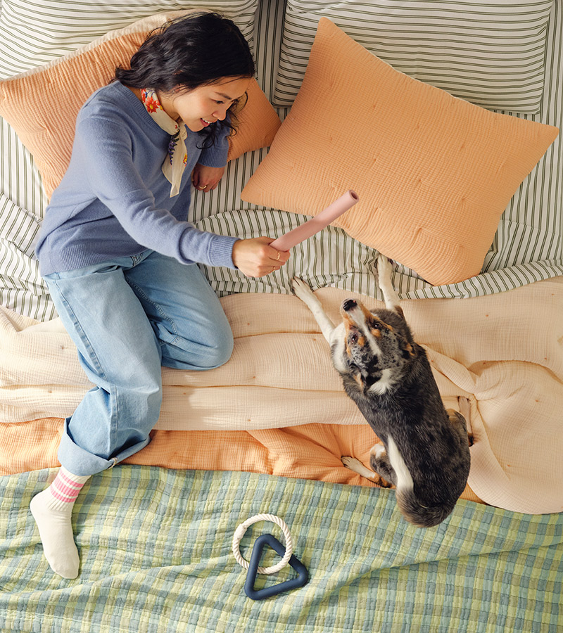 Visual Category Module Image