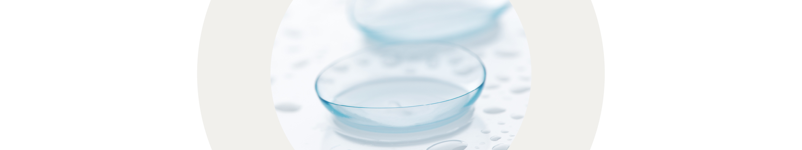 Daily Contact Lenses