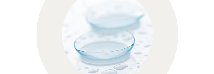 Daily Contact Lenses