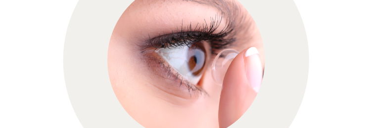 Fortnightly Contact Lenses