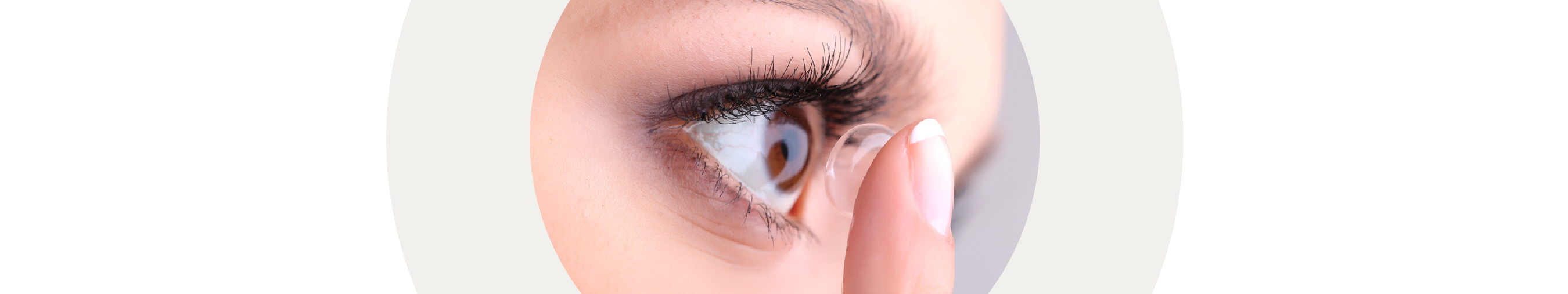 Fortnightly Contact Lenses