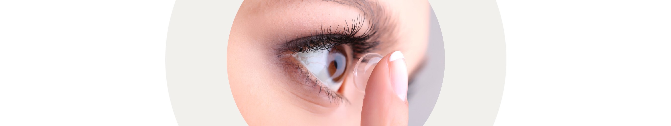 Fortnightly Contact Lenses