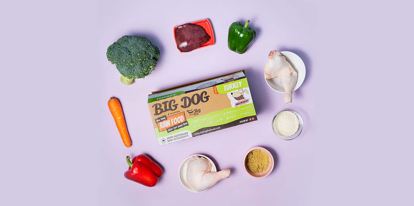 Big Dog Dog Shop Singapore Pets' Station