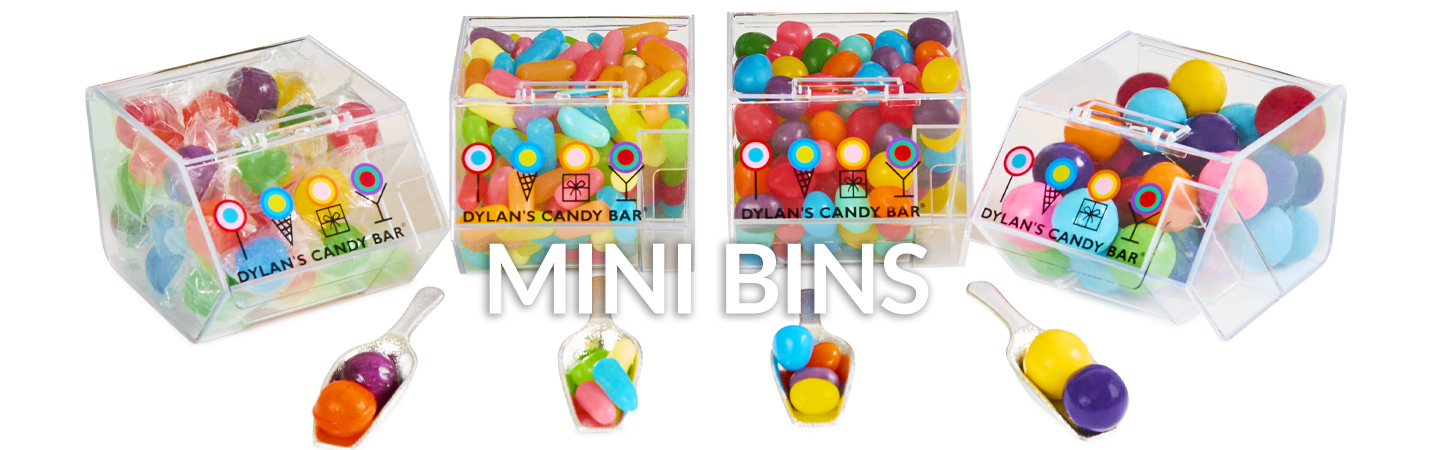 Empty Mini Paint Can - Dylan's Candy Bar