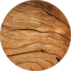 CASHMERE WOOD
