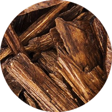 AGARWOOD (OUD)