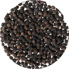 BLACK PEPPER