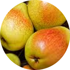 PEAR