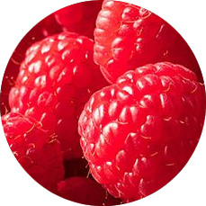 RASPBERRY