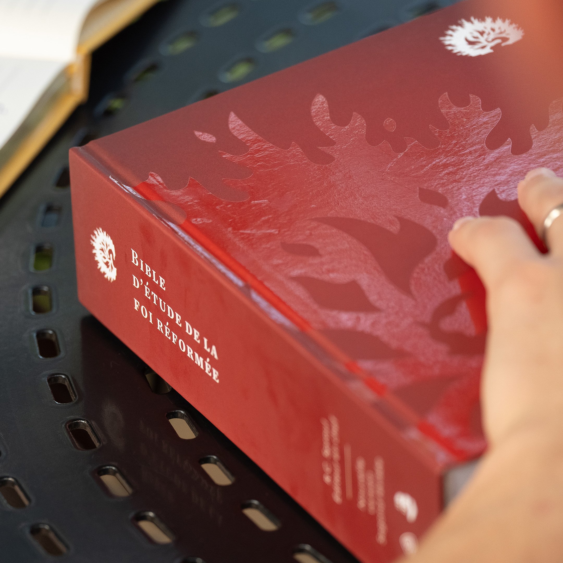 Une expérience de lecture, d'étude et de discipulat sans précédent.