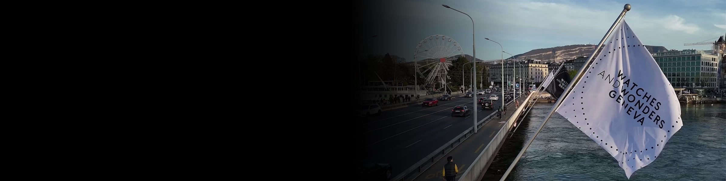 The collection banner image