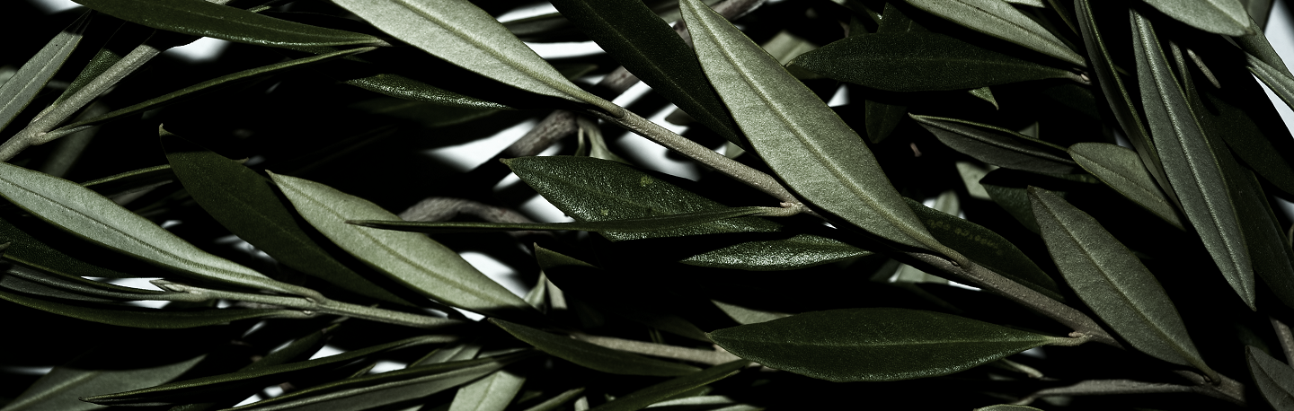 Pure Greek Olive Linie