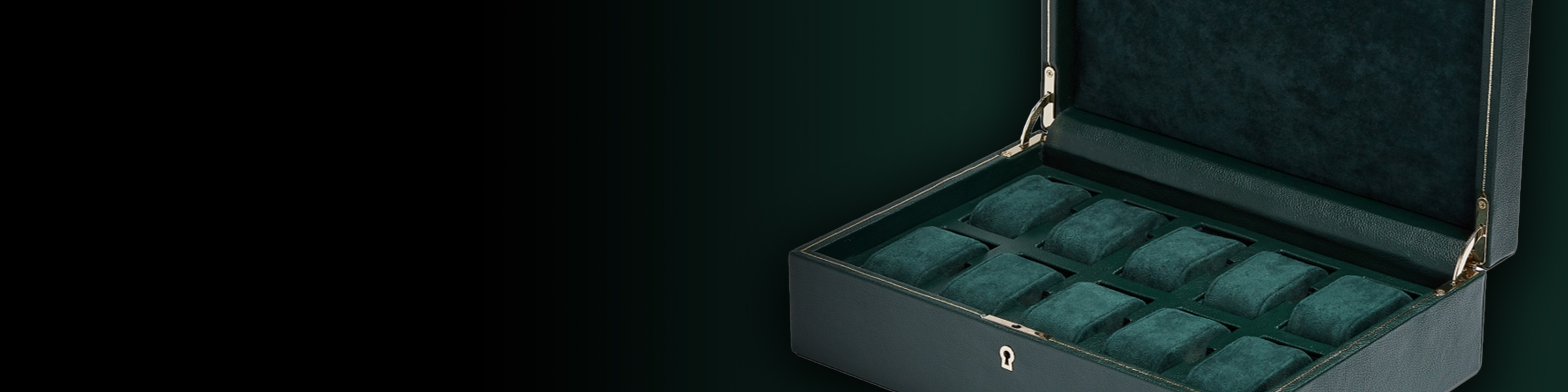 The collection banner image