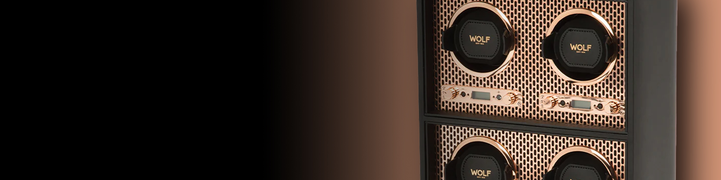 The collection banner image